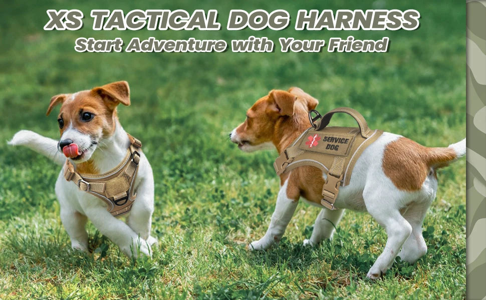 tactical dog harness for small dogs – military-grade comfort & control for safe adventures!