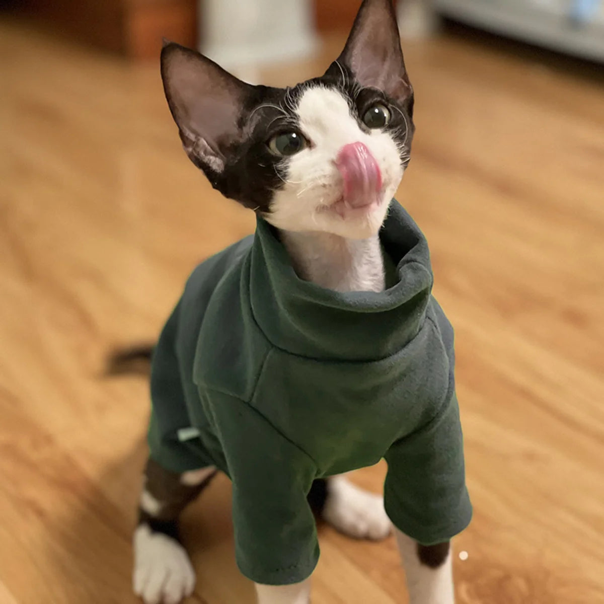 snuggly & soft sphynx cat hoodie – the ultimate cozy outfit for hairless cats & small dogs!