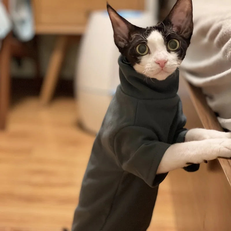 snuggly & soft sphynx cat hoodie – the ultimate cozy outfit for hairless cats & small dogs!