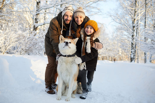 How to keep your dogs safe in the winter.