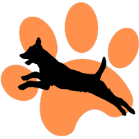 Furry Pawz