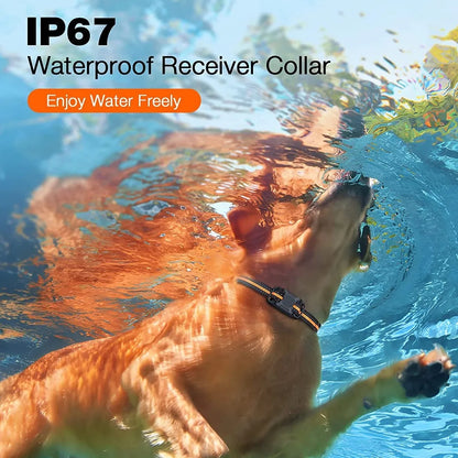 3300Ft Rechargeable Waterproof Dog Training Collar Effective & Safe Training!